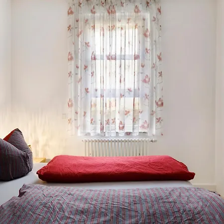 Jogis * Fribourg im Breisgau