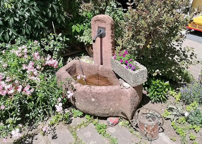 Apartment Jogis Freiburg im Breisgau